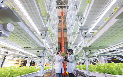 安徽新聞 安徽惟一重點新聞門戶網(wǎng)站