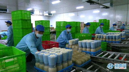 云霄 生物科技助力穩產保供，讓市民“菜籃子”拎得更穩